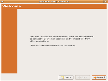 First setup screen of email setup in Evolution.