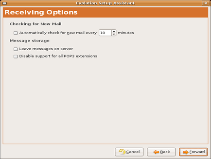 Email receiving options in Evolution setup.