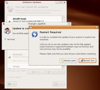 http://www.easy-ubuntu-linux.com/images/installed-software-updating-system-restart-now-or-later-cropped.png
